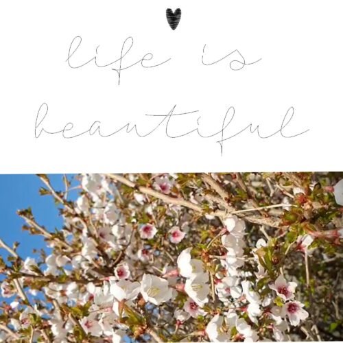 life is beautiful, 10x10 - 24x36
