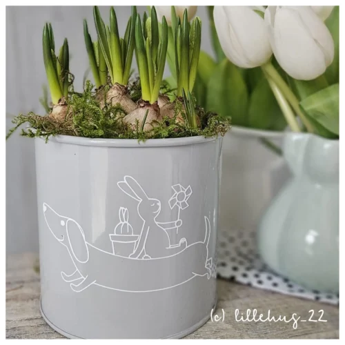 Frühlingswalter Plottdatei [Digital]