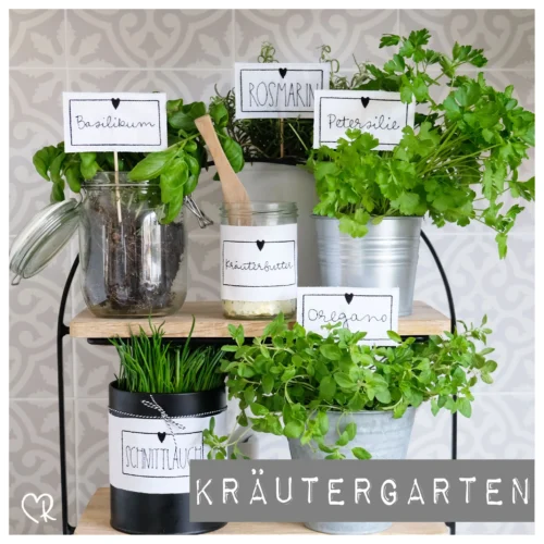 Großes Set Kräutergarten, ITH und Doodle [Digital]
