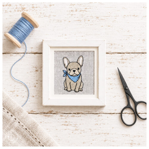 Frenchie [Digital]